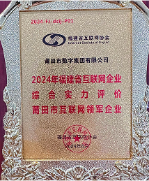 2024年度市级互联网领军企业